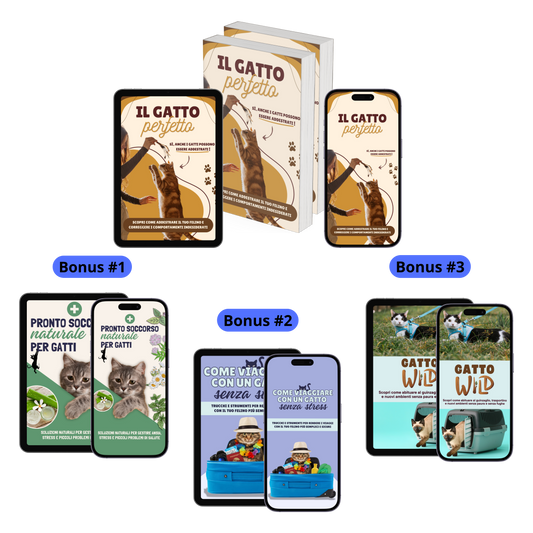 Il Gatto Perfetto